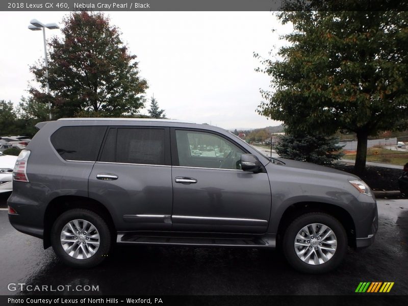 Nebula Gray Pearl / Black 2018 Lexus GX 460