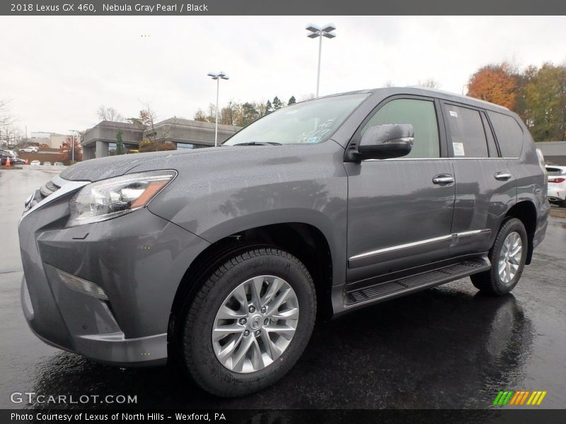  2018 GX 460 Nebula Gray Pearl