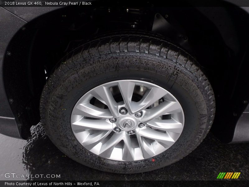 Nebula Gray Pearl / Black 2018 Lexus GX 460