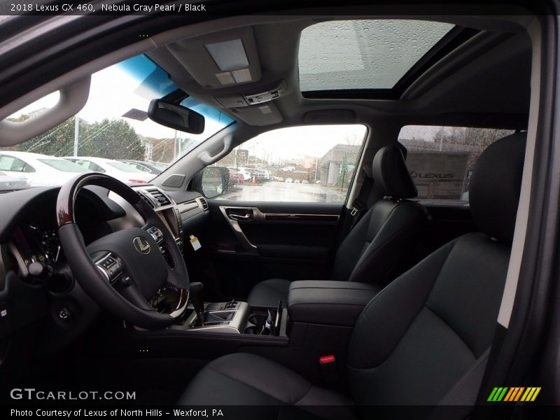 Nebula Gray Pearl / Black 2018 Lexus GX 460