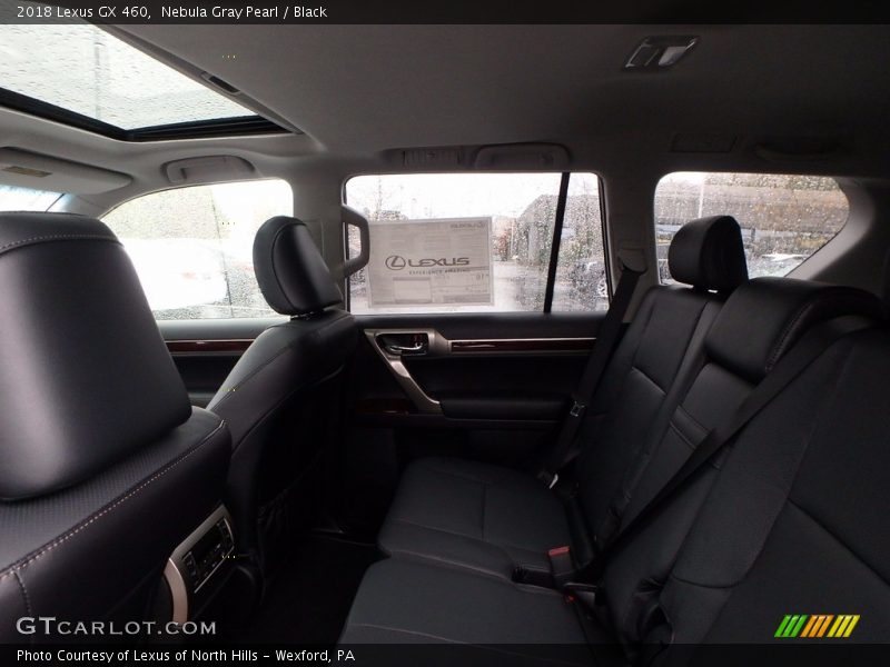 Nebula Gray Pearl / Black 2018 Lexus GX 460