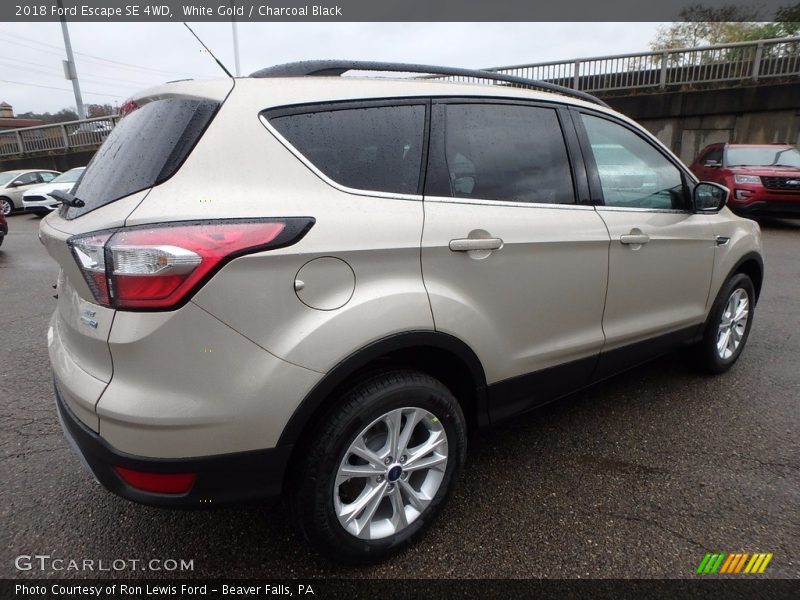 White Gold / Charcoal Black 2018 Ford Escape SE 4WD