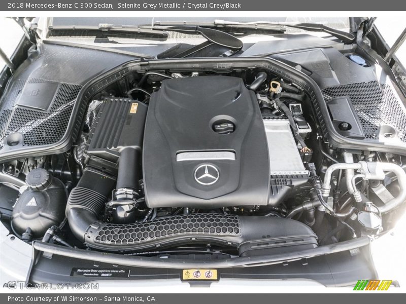 Selenite Grey Metallic / Crystal Grey/Black 2018 Mercedes-Benz C 300 Sedan