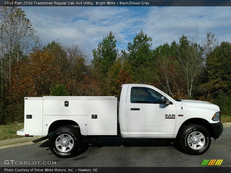  2018 2500 Tradesman Regular Cab 4x4 Utility Bright White