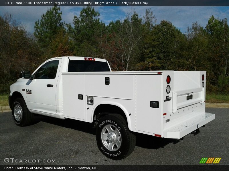 Bright White / Black/Diesel Gray 2018 Ram 2500 Tradesman Regular Cab 4x4 Utility