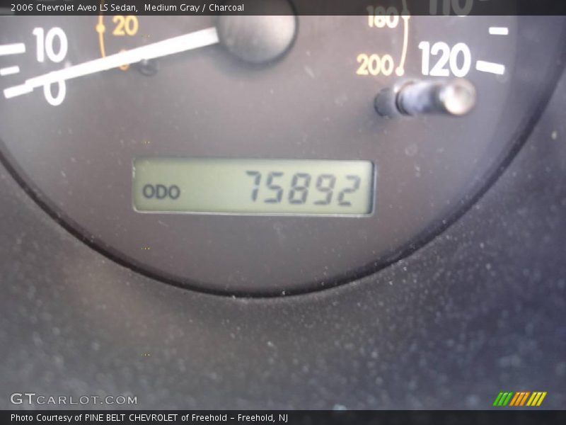 Medium Gray / Charcoal 2006 Chevrolet Aveo LS Sedan
