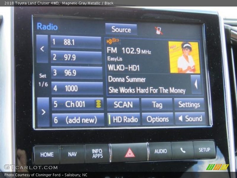 Magnetic Gray Metallic / Black 2018 Toyota Land Cruiser 4WD