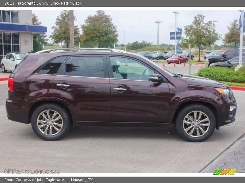Spicy Red / Black 2011 Kia Sorento SX V6