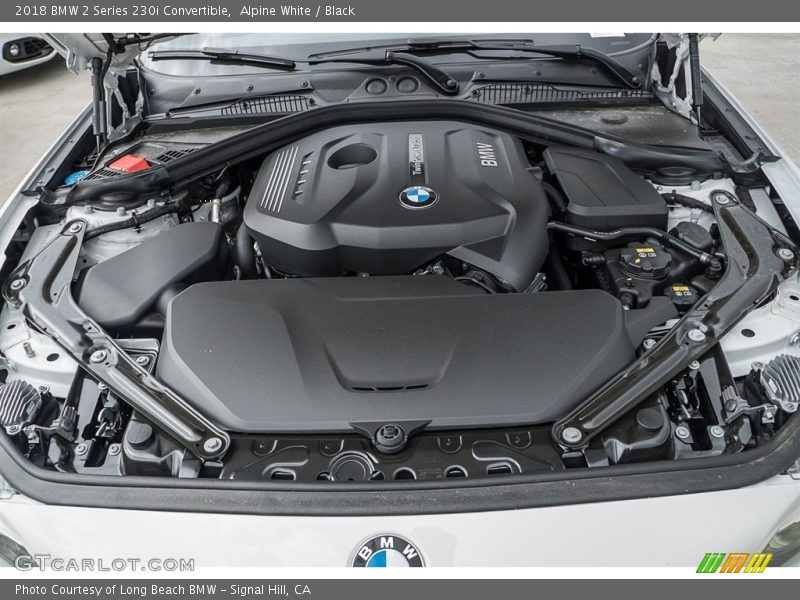  2018 2 Series 230i Convertible Engine - 2.0 Liter DI TwinPower Turbocharged DOHC 16-Valve VVT 4 Cylinder