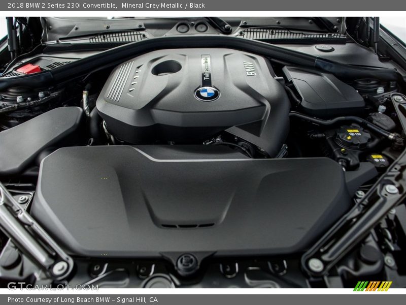  2018 2 Series 230i Convertible Engine - 2.0 Liter DI TwinPower Turbocharged DOHC 16-Valve VVT 4 Cylinder