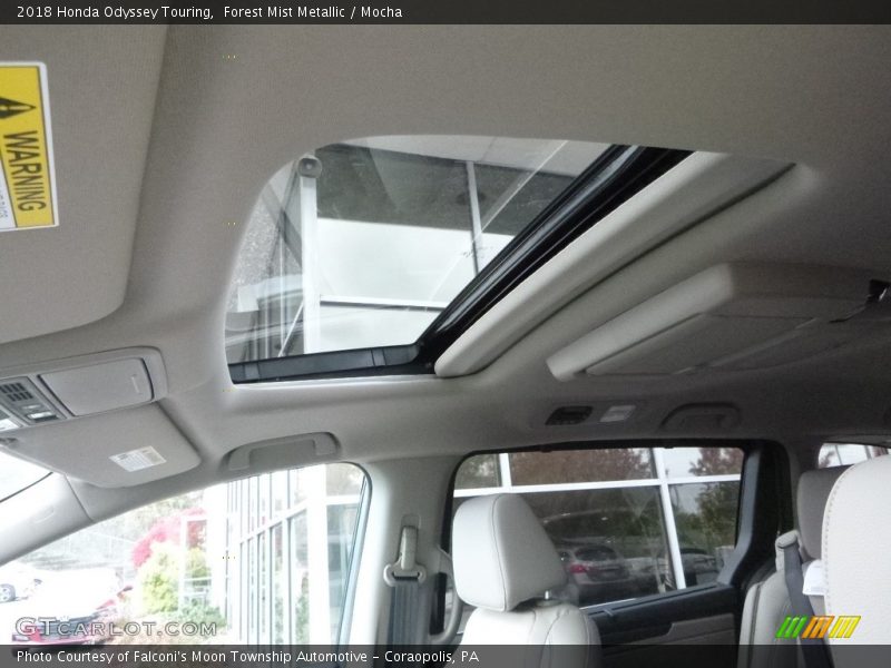 Forest Mist Metallic / Mocha 2018 Honda Odyssey Touring