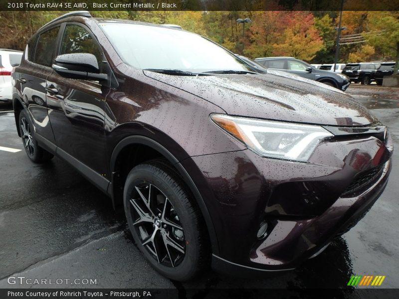 Black Current Metallic / Black 2018 Toyota RAV4 SE AWD