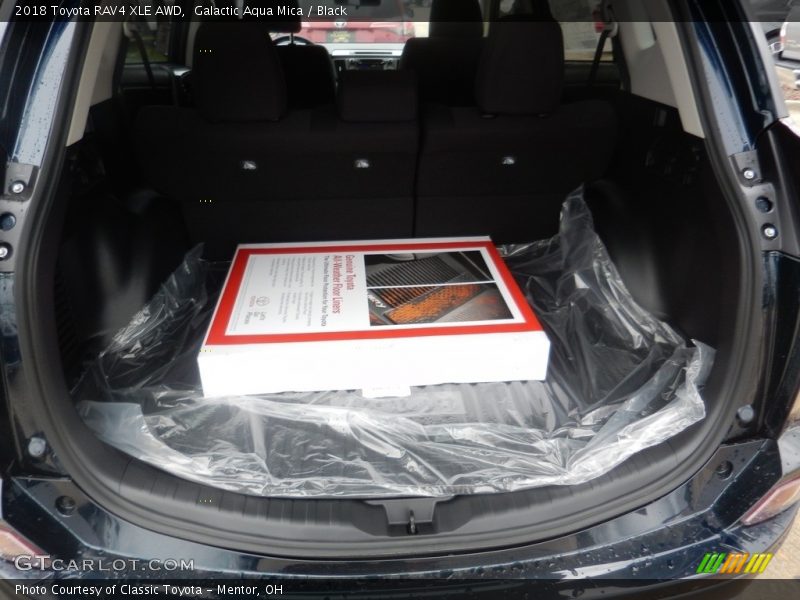 Galactic Aqua Mica / Black 2018 Toyota RAV4 XLE AWD