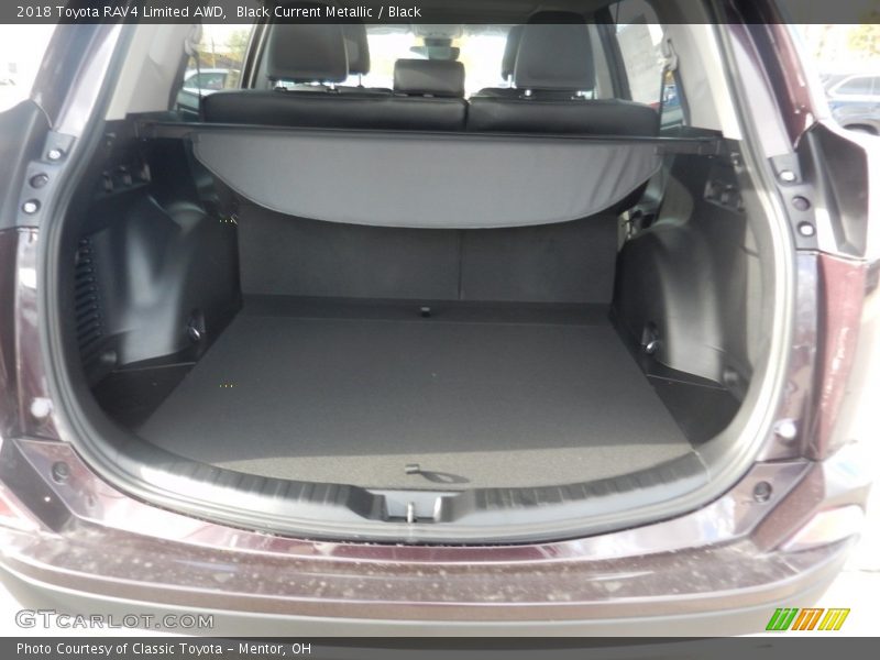 Black Current Metallic / Black 2018 Toyota RAV4 Limited AWD
