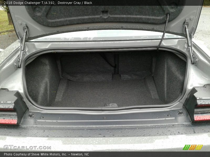  2018 Challenger T/A 392 Trunk