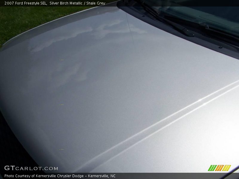 Silver Birch Metallic / Shale Grey 2007 Ford Freestyle SEL