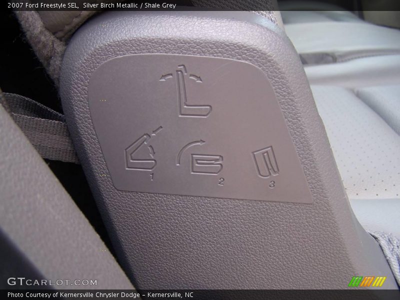 Silver Birch Metallic / Shale Grey 2007 Ford Freestyle SEL