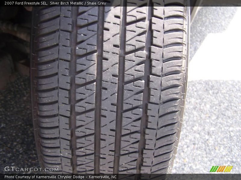 Silver Birch Metallic / Shale Grey 2007 Ford Freestyle SEL