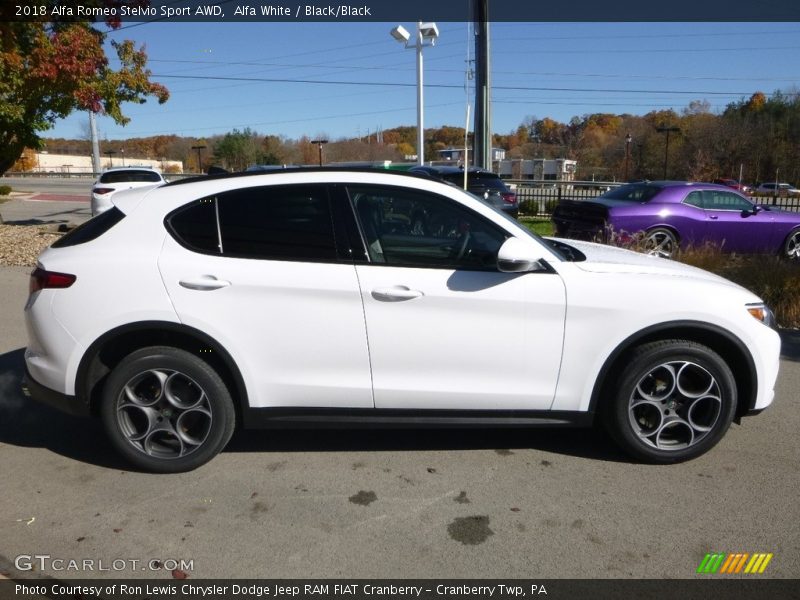Alfa White / Black/Black 2018 Alfa Romeo Stelvio Sport AWD