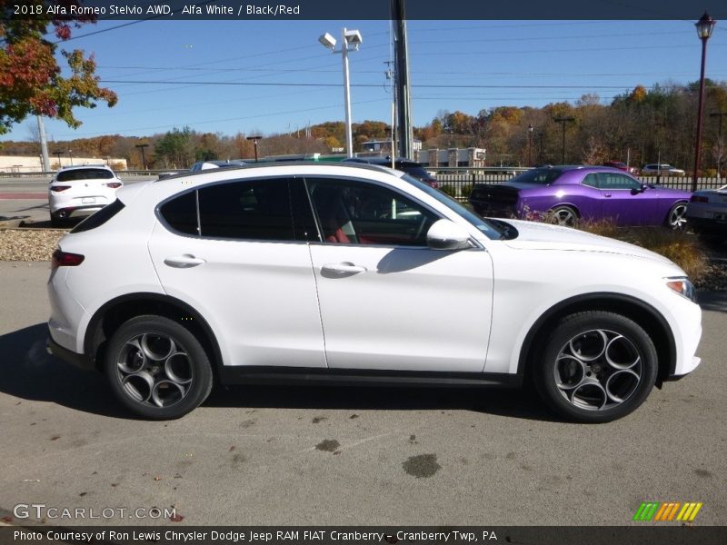  2018 Stelvio AWD Alfa White