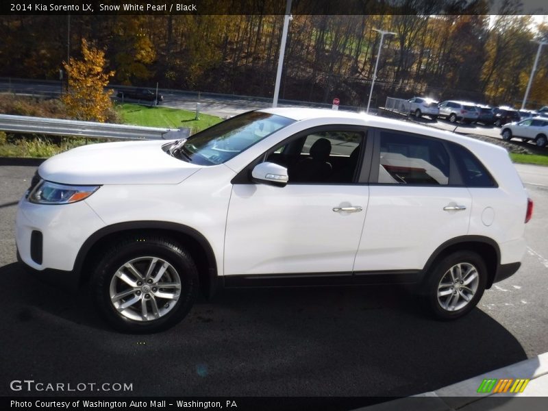 Snow White Pearl / Black 2014 Kia Sorento LX