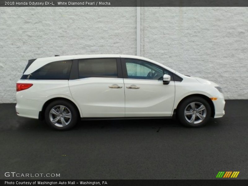 White Diamond Pearl / Mocha 2018 Honda Odyssey EX-L