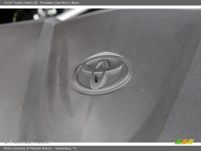 Predawn Gray Mica / Black 2018 Toyota Camry SE