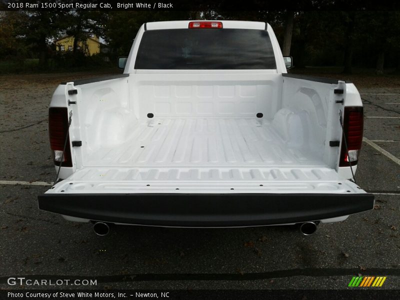 Bright White / Black 2018 Ram 1500 Sport Regular Cab