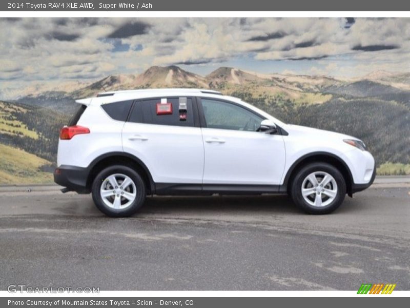 Super White / Ash 2014 Toyota RAV4 XLE AWD