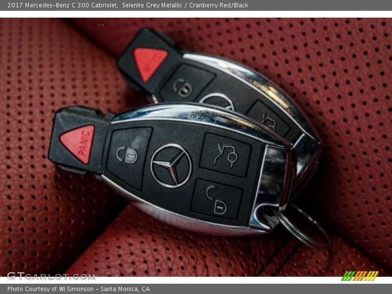 Selenite Grey Metallic / Cranberry Red/Black 2017 Mercedes-Benz C 300 Cabriolet