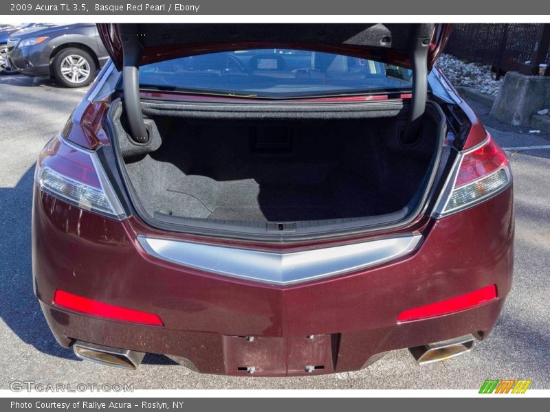 Basque Red Pearl / Ebony 2009 Acura TL 3.5