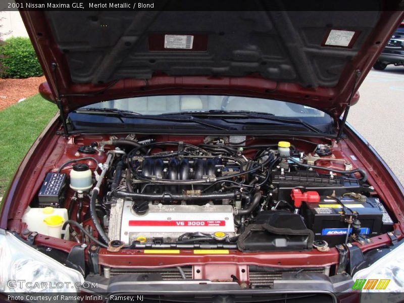 Merlot Metallic / Blond 2001 Nissan Maxima GLE