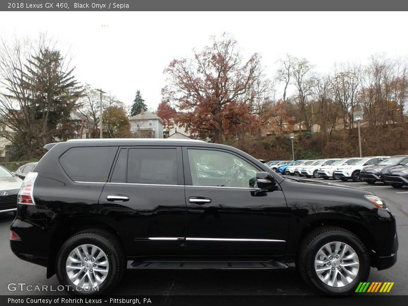 Black Onyx / Sepia 2018 Lexus GX 460