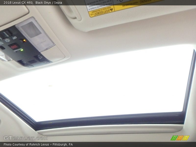 Black Onyx / Sepia 2018 Lexus GX 460