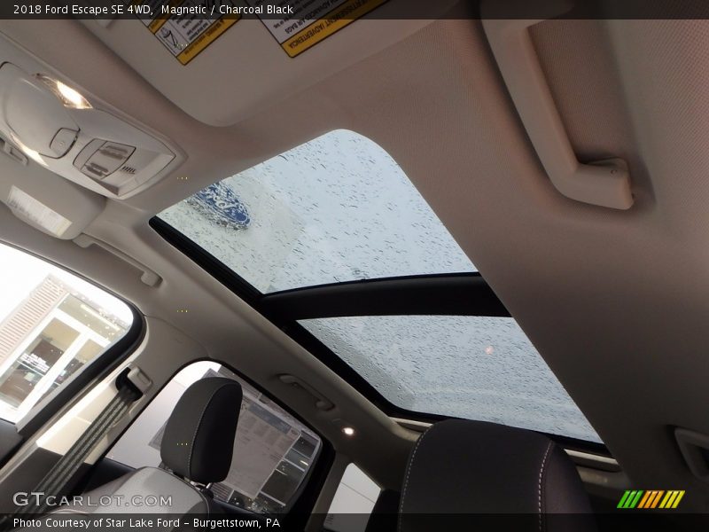 Magnetic / Charcoal Black 2018 Ford Escape SE 4WD