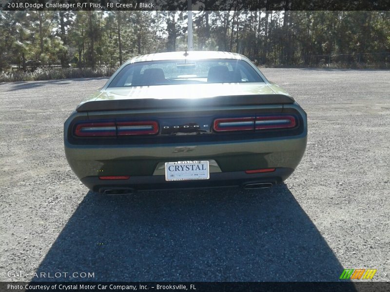 F8 Green / Black 2018 Dodge Challenger R/T Plus