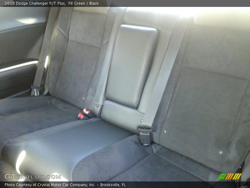 F8 Green / Black 2018 Dodge Challenger R/T Plus