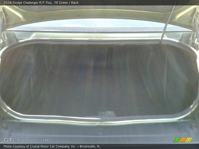 F8 Green / Black 2018 Dodge Challenger R/T Plus