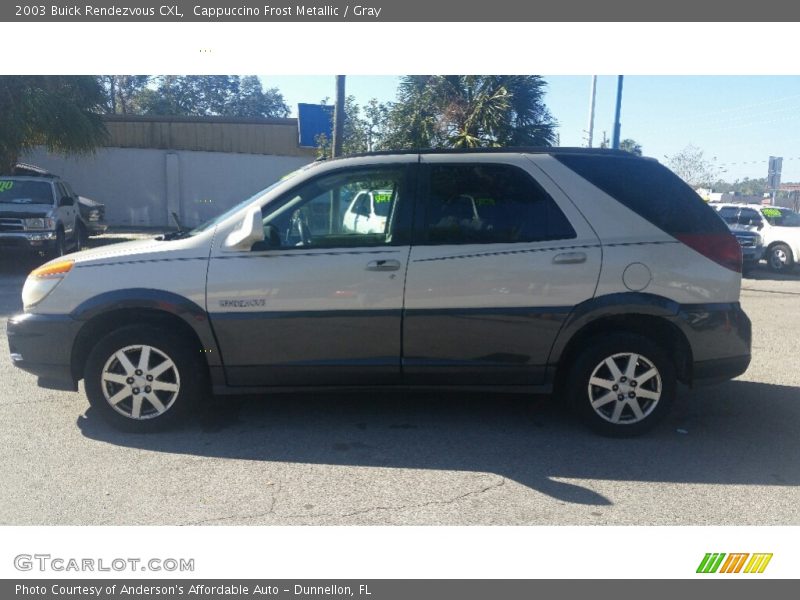 Cappuccino Frost Metallic / Gray 2003 Buick Rendezvous CXL