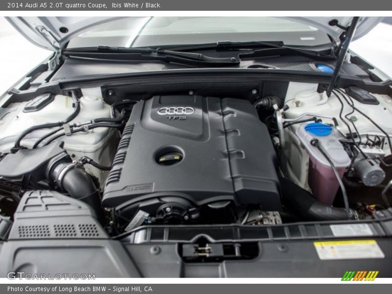 Ibis White / Black 2014 Audi A5 2.0T quattro Coupe