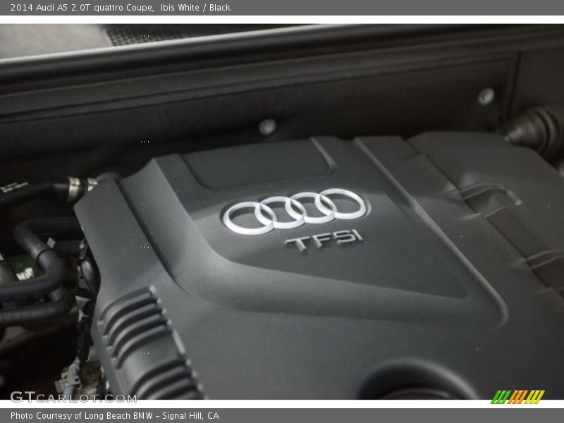 Ibis White / Black 2014 Audi A5 2.0T quattro Coupe