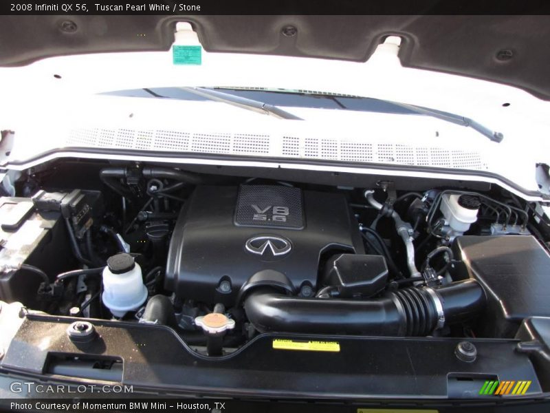 Tuscan Pearl White / Stone 2008 Infiniti QX 56