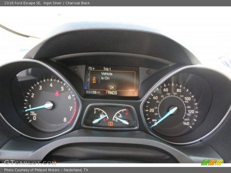 Ingot Silver / Charcoal Black 2018 Ford Escape SE