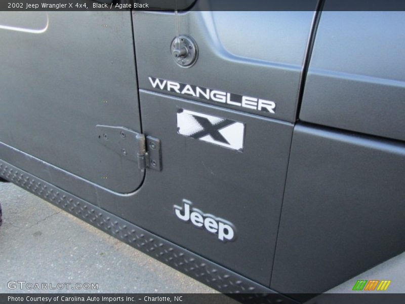 Black / Agate Black 2002 Jeep Wrangler X 4x4