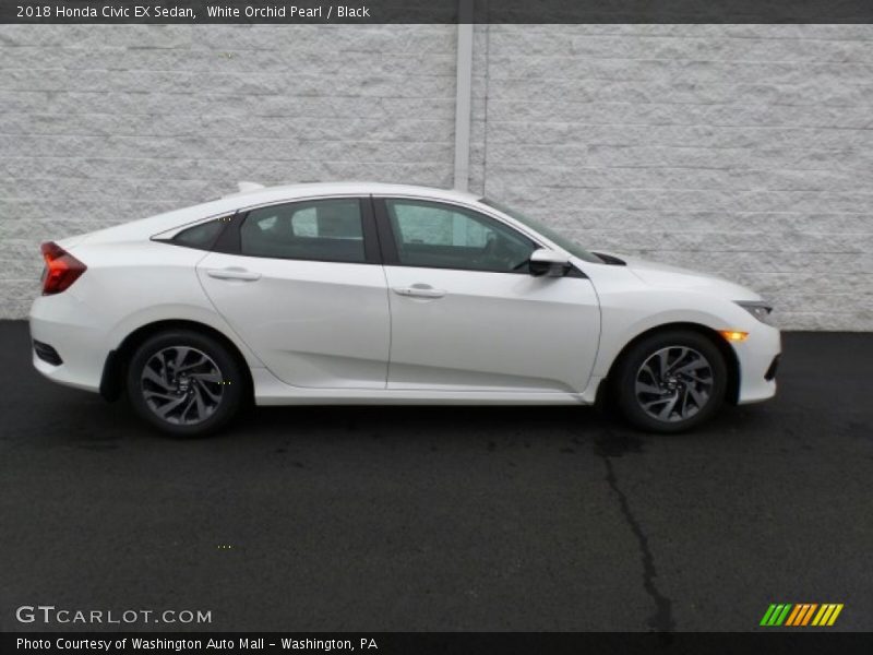White Orchid Pearl / Black 2018 Honda Civic EX Sedan