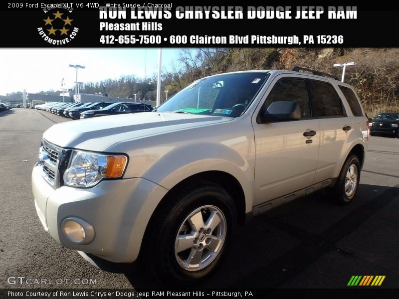 White Suede / Charcoal 2009 Ford Escape XLT V6 4WD
