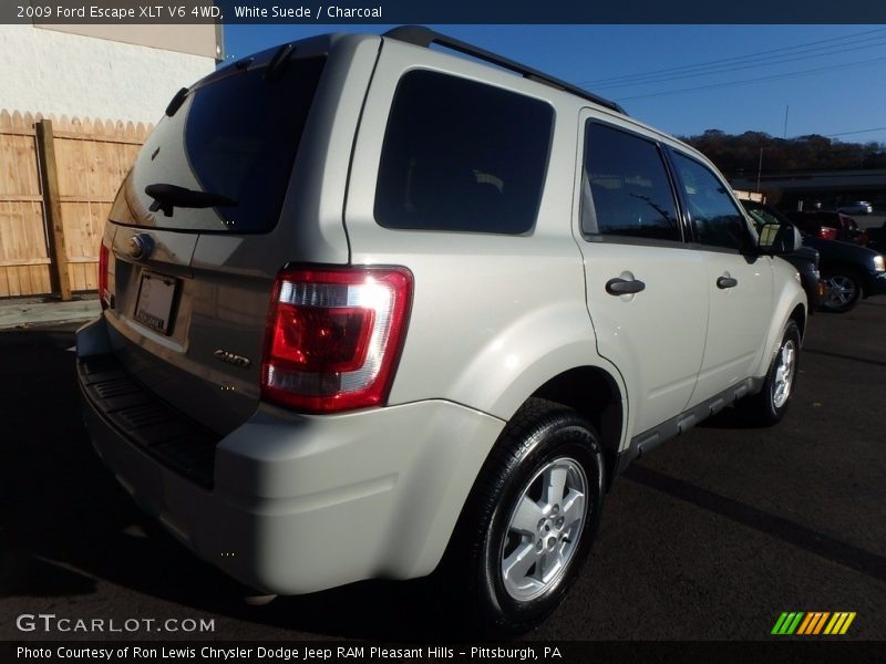 White Suede / Charcoal 2009 Ford Escape XLT V6 4WD