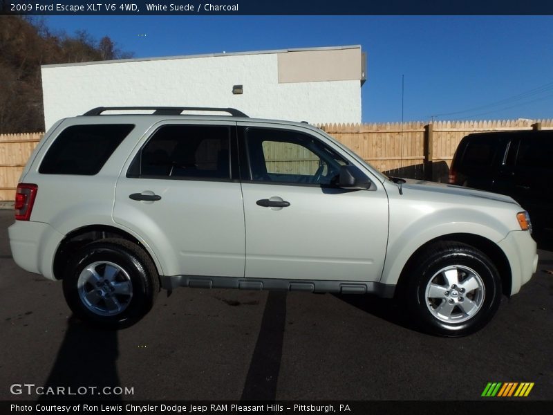 White Suede / Charcoal 2009 Ford Escape XLT V6 4WD