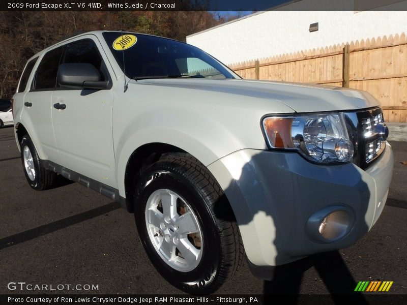 White Suede / Charcoal 2009 Ford Escape XLT V6 4WD
