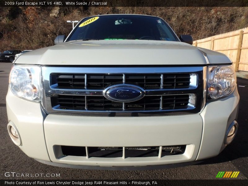 White Suede / Charcoal 2009 Ford Escape XLT V6 4WD